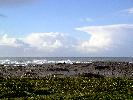 01-02-04 018_edited.jpg