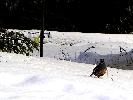 01-03-04 015_edited.jpg
