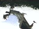 01-03-04 019_edited.jpg