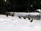 01-03-04 023_edited.jpg