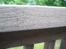 IMG_5219.JPG