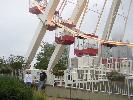 IMG_6478.JPG