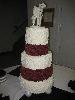 IMG_1241.JPG