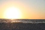 IMG_7989.JPG
