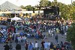 IMG_0348.jpg