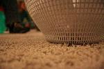 IMG_7914.JPG