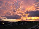 IMG_1137.JPG