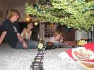 IMG_1240.JPG