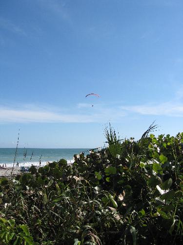 IMG_1359.JPG