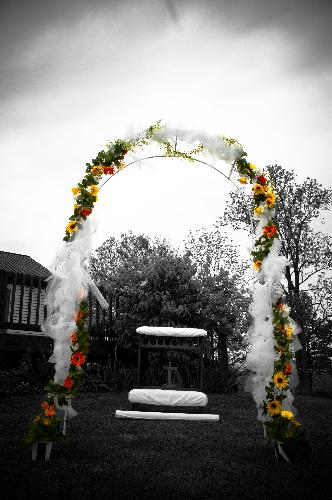 DSC_4958-Edit.jpg