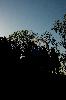 DSC_4732.jpg
