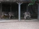 DSCN0401.JPG