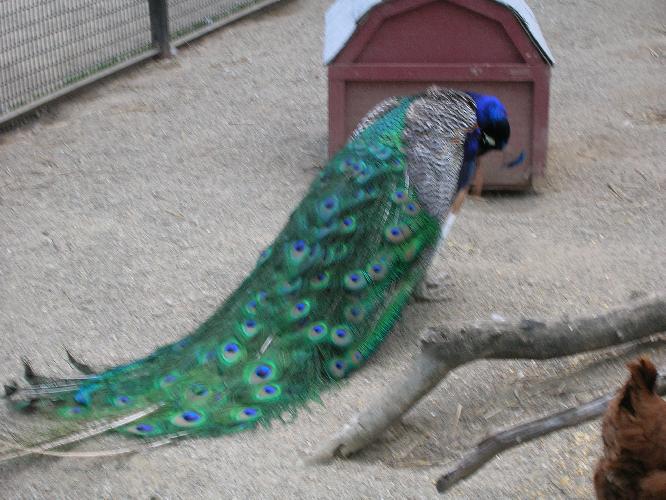 DSCN0402.JPG