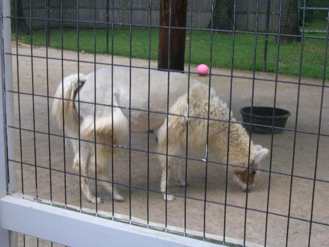 DSCN0406.JPG