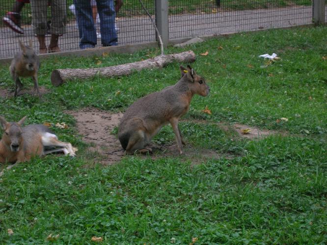DSCN0409.JPG