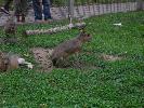 DSCN0409.JPG