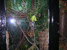 DSCN0414.JPG