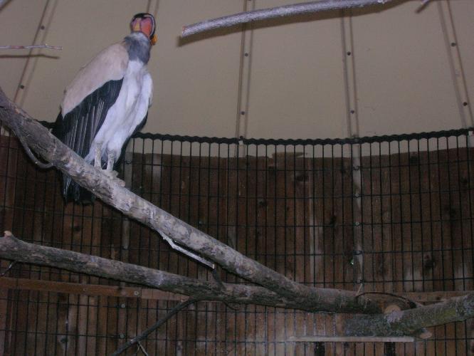 DSCN0419.JPG