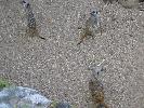 IMG_5996.JPG