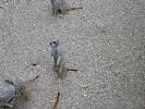 IMG_6000.JPG