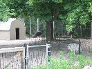 IMG_6014.JPG