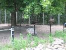 IMG_6015.JPG