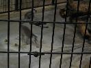 IMG_6052.JPG