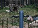 IMG_6062.JPG