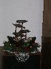 DSCN7055.JPG