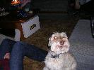 DSCN7065.JPG