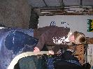 DSCN7108.JPG
