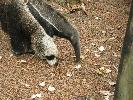 IMG_0413.JPG
