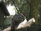 IMG_0417.JPG