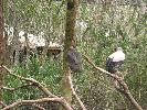 IMG_0419.JPG