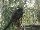 IMG_0425.JPG