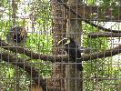IMG_0440.JPG