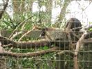 IMG_0441.JPG