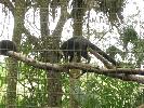 IMG_0442.JPG