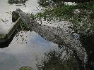 IMG_0466.JPG