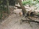 IMG_0493.JPG