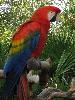 IMG_0550.JPG