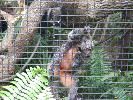 IMG_9817.JPG