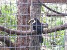 IMG_9851.JPG