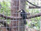IMG_9852.JPG