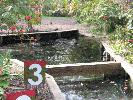 IMG_9863.JPG