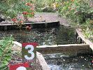 IMG_9864.JPG