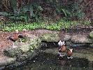 IMG_9868.JPG
