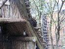 IMG_9880.JPG
