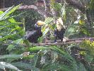 IMG_9885.JPG