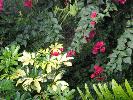 IMG_9892.JPG